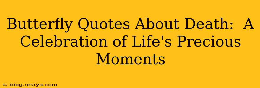 Butterfly Quotes About Death:  A Celebration of Life's Precious Moments