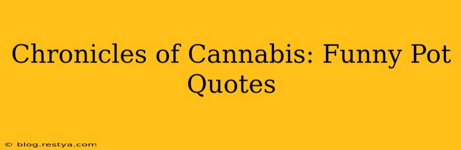 Chronicles of Cannabis: Funny Pot Quotes