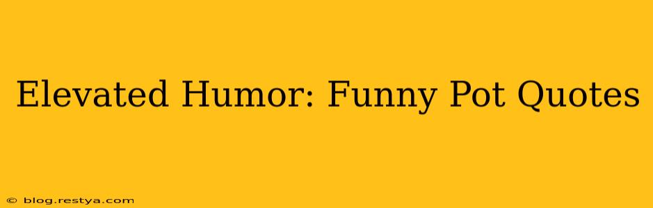 Elevated Humor: Funny Pot Quotes