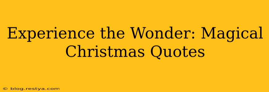 Experience the Wonder: Magical Christmas Quotes