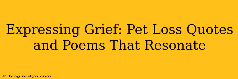 Expressing Grief: Pet Loss Quotes and Poems That Resonate