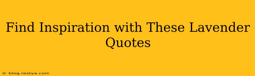 Find Inspiration with These Lavender Quotes