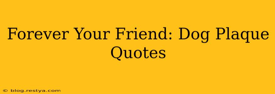 Forever Your Friend: Dog Plaque Quotes