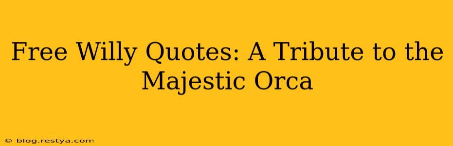 Free Willy Quotes: A Tribute to the Majestic Orca