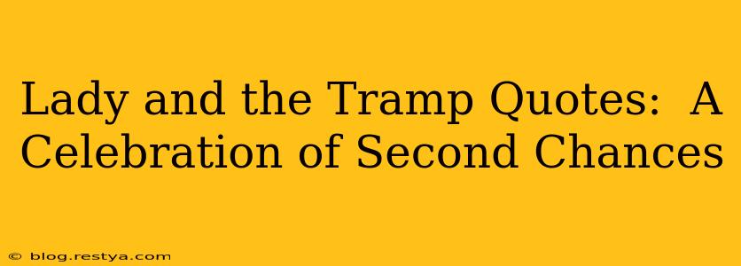 Lady and the Tramp Quotes:  A Celebration of Second Chances