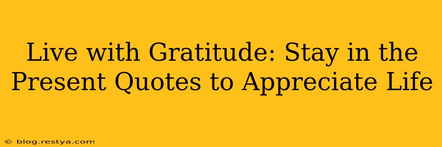 Live with Gratitude: Stay in the Present Quotes to Appreciate Life