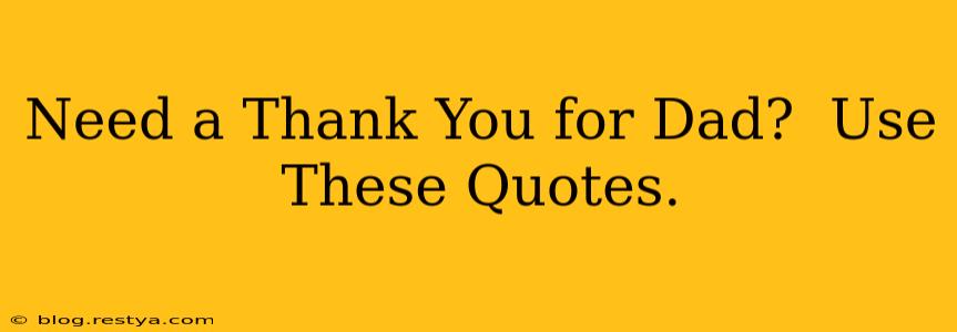 Need a Thank You for Dad?  Use These Quotes.