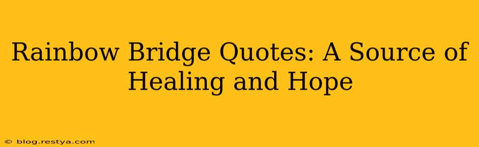Rainbow Bridge Quotes: A Source of Healing and Hope
