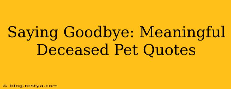 Saying Goodbye: Meaningful Deceased Pet Quotes