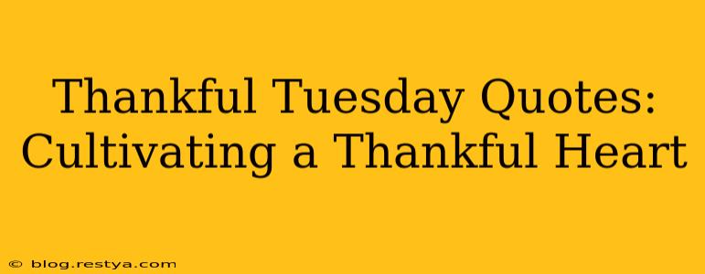 Thankful Tuesday Quotes: Cultivating a Thankful Heart
