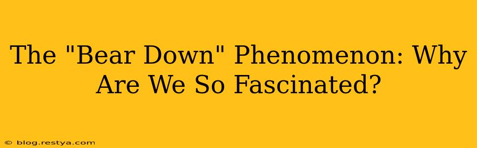 The "Bear Down" Phenomenon: Why Are We So Fascinated?