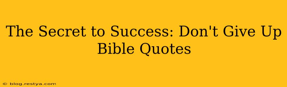 The Secret to Success: Don't Give Up Bible Quotes