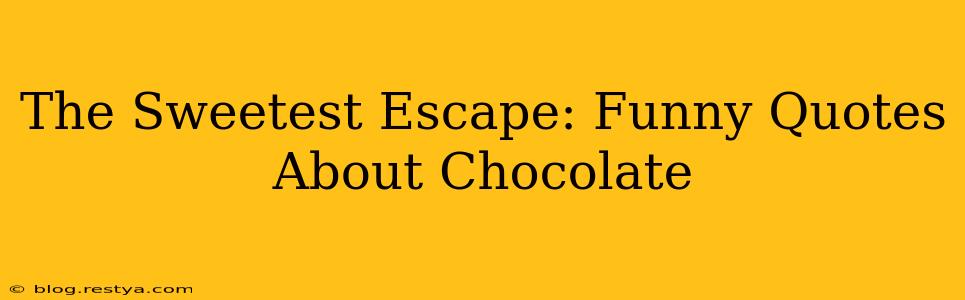 The Sweetest Escape: Funny Quotes About Chocolate