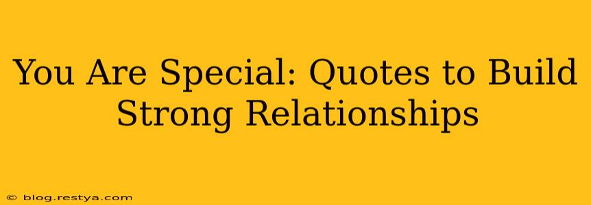 You Are Special: Quotes to Build Strong Relationships